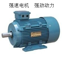 國標全銅線，動力強勁之選 臺州強速Y180L-6 15KW三相異步電動機深度解析